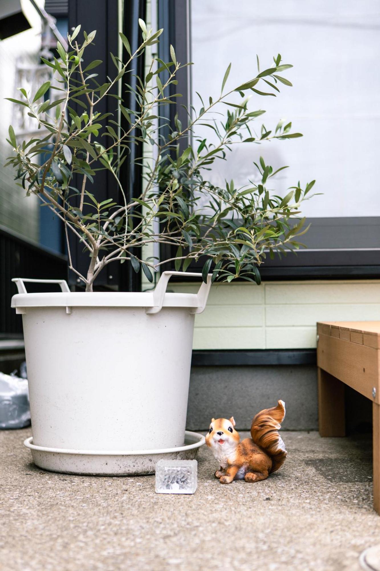 Blessing Guest House Funabashi Exterior foto